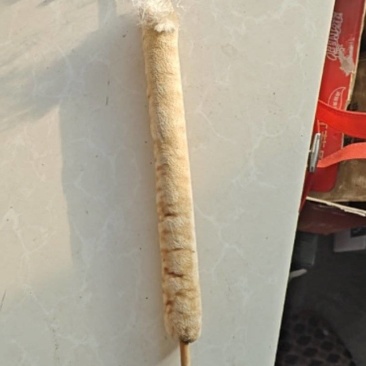 东北纯野生香蒲棒，欢迎老板前来选购