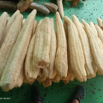 精挑细选丝瓜络46一斤50斤起批