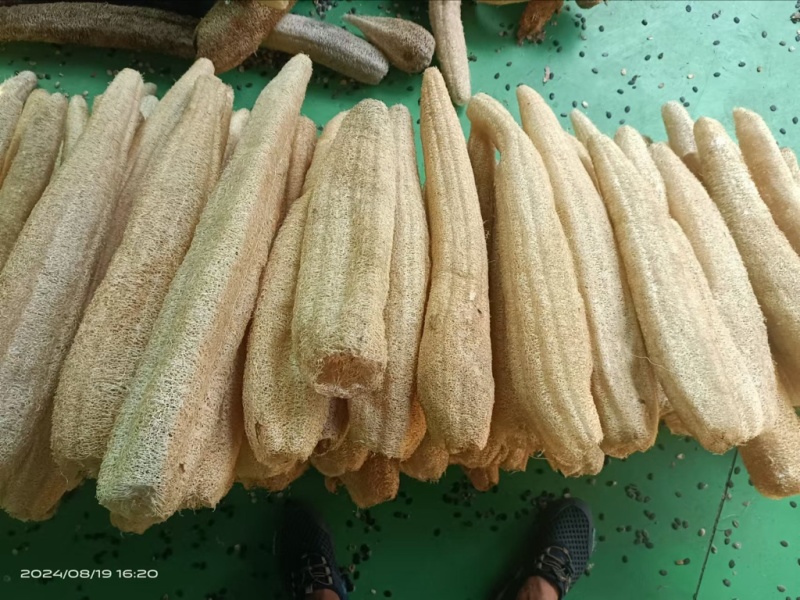 精挑细选丝瓜络46一斤50斤起批