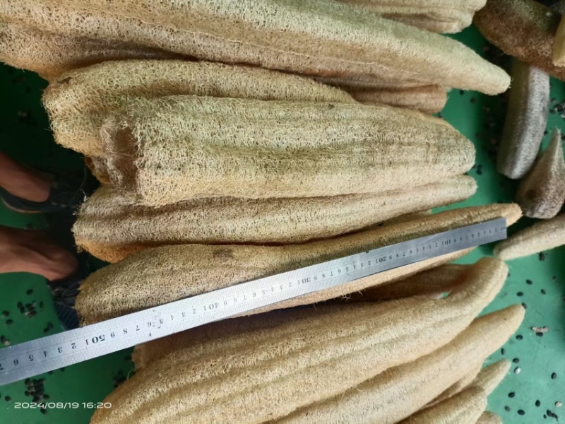 精挑细选丝瓜络46一斤50斤起批