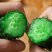 双童黄瓜种子刺密翠绿瓤青节节瓜水果青瓜种籽把短条直春秋播