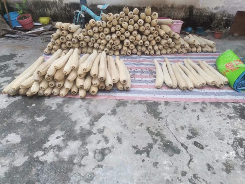 精挑细选丝瓜络46一斤50斤起批