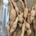 野生牛大力43一斤20斤起批