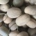 海南晓蜜25哈密瓜甜如蜜皮薄肉多原产地发货价格可商