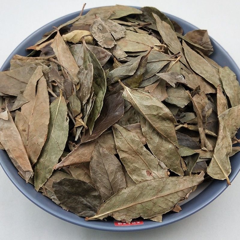 南烛叶1公斤中药材南烛叶干货南烛叶乌饭叶南烛叶茶新货