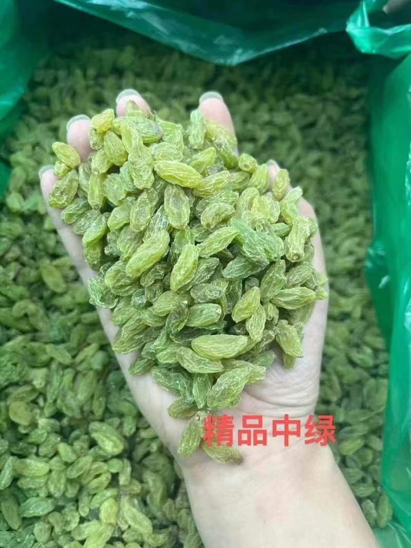 2025年新货！新疆葡萄干中绿大绿大黄大量有货，不包邮！