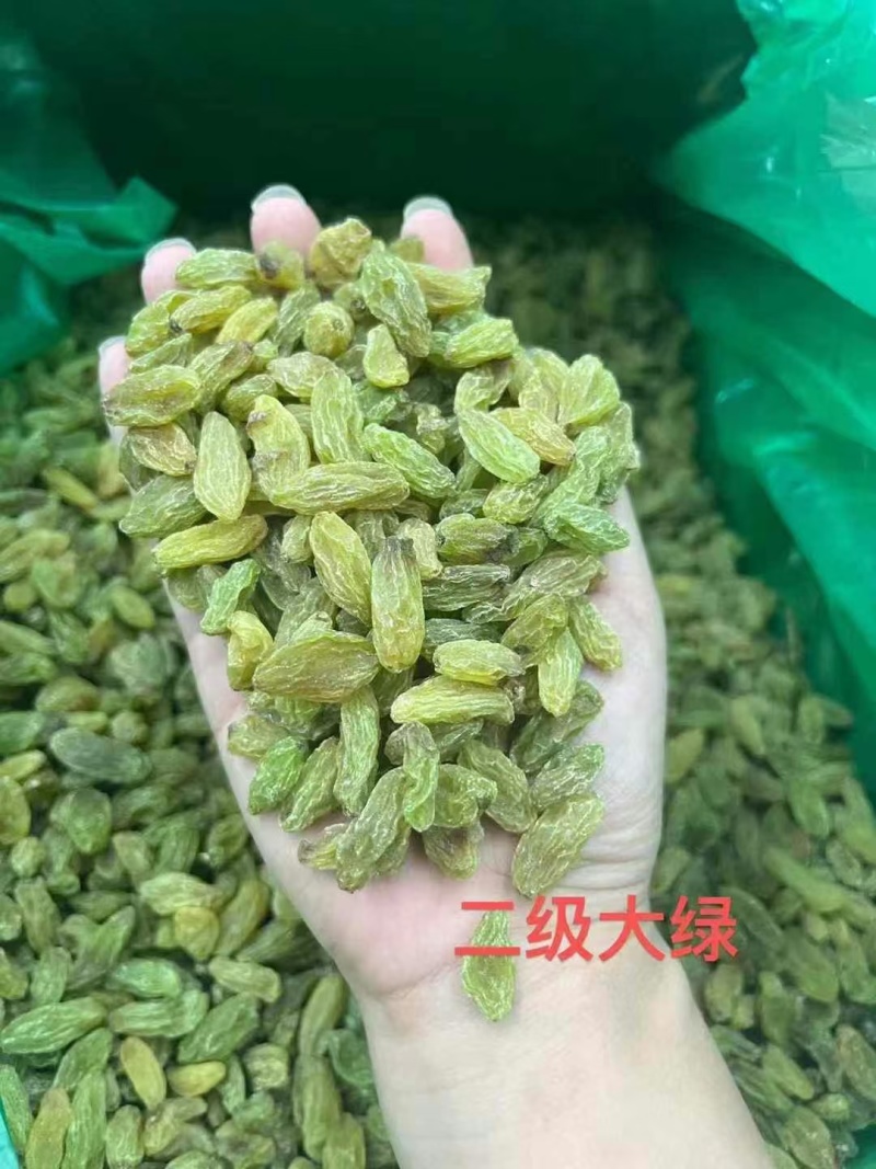 2025年新货！新疆葡萄干中绿大绿大黄大量有货，不包邮！