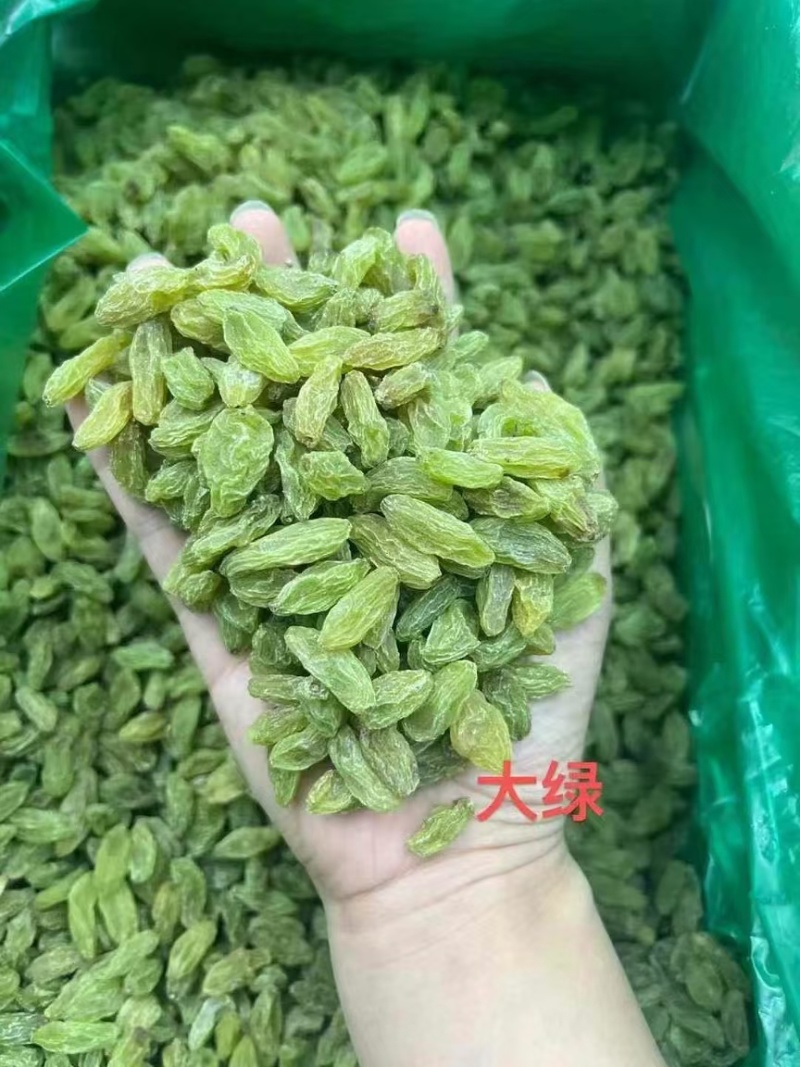 2025年新货！新疆葡萄干中绿大绿大黄大量有货，不包邮！