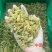 2025年新货！新疆葡萄干中绿大绿大黄大量有货，不包邮！