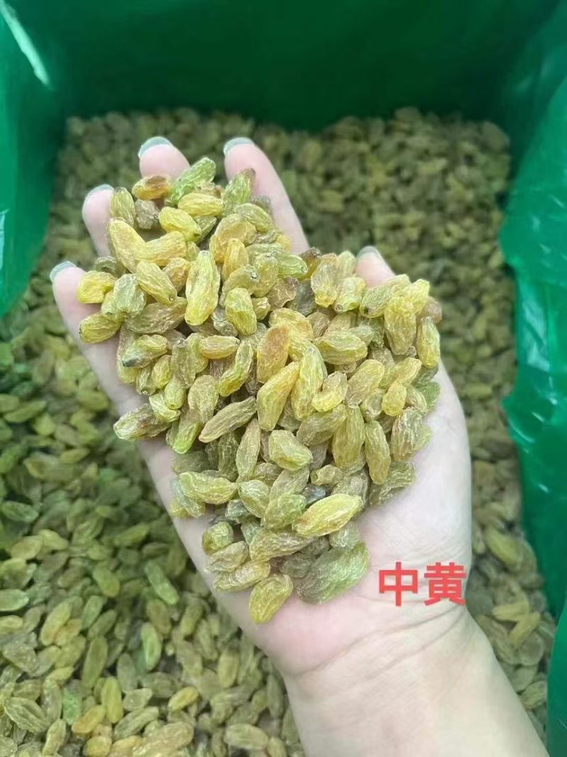 2025年新货！新疆葡萄干中绿大绿大黄大量有货，不包邮！