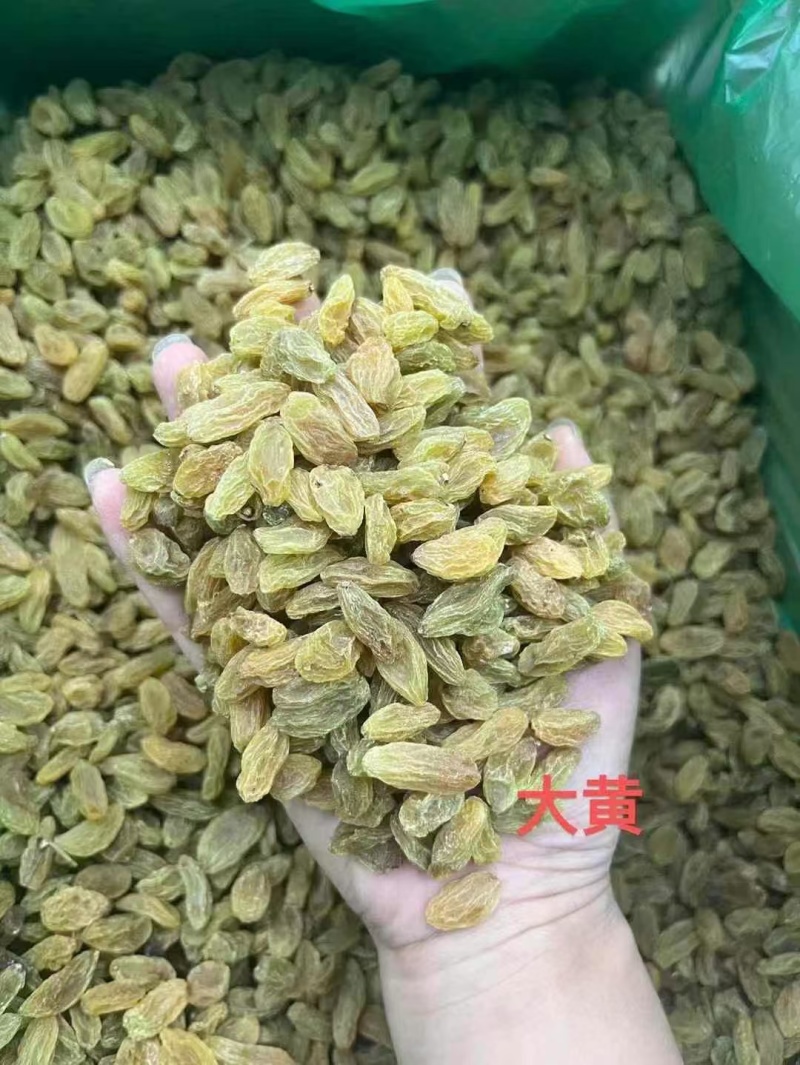2025年新货！新疆葡萄干中绿大绿大黄大量有货，不包邮！