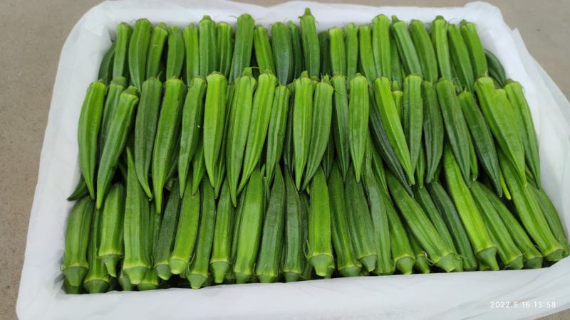 山东青岛莱西莱阳秋葵，电商，团购，市场一件代发