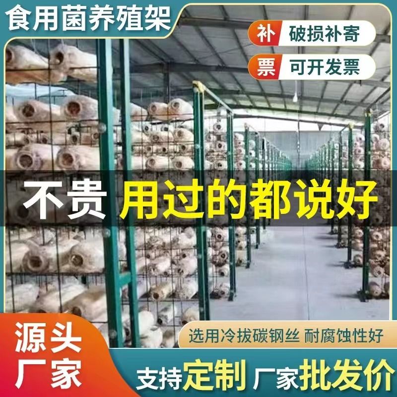 食用菌出菇架子大棚蘑菇培养网格网架香菇出菇发菌房平菇架子