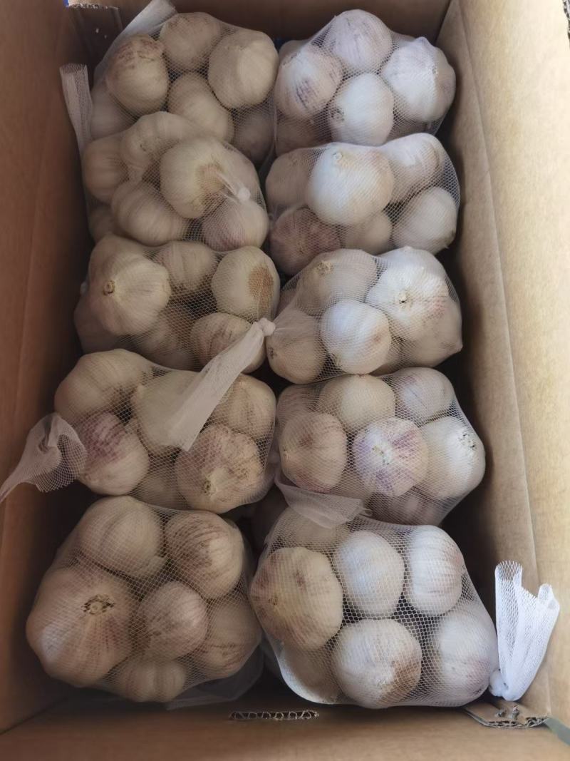 金乡太空大蒜，代加工包装全国各地