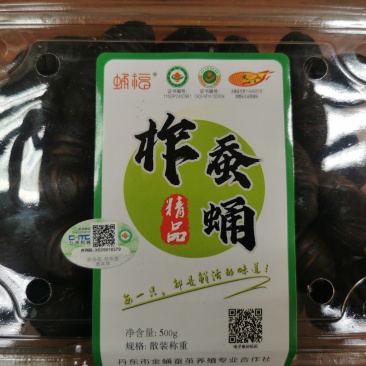 辽宁凤城蚕蛹