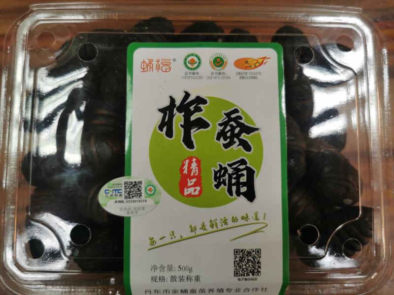 辽宁凤城蚕蛹