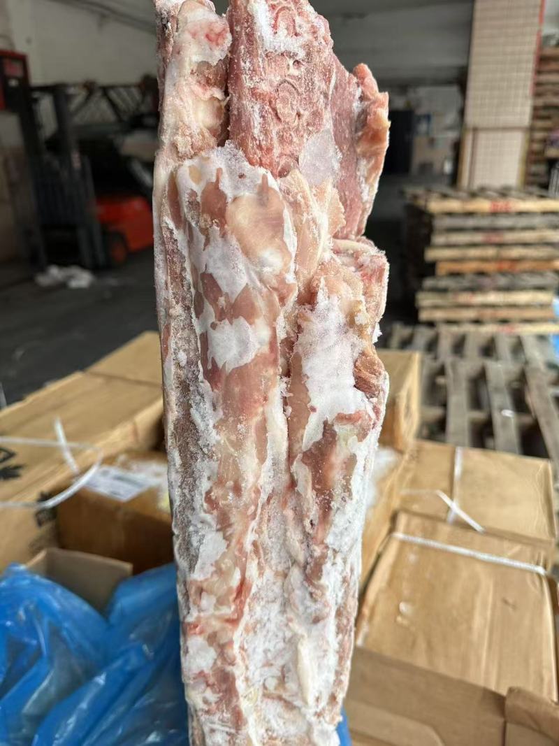 猪背骨