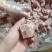 排骨粒