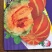 黄皮面瓜种子老品种花皮面瓜四季留种红皮面瓜花皮甜瓜香瓜种