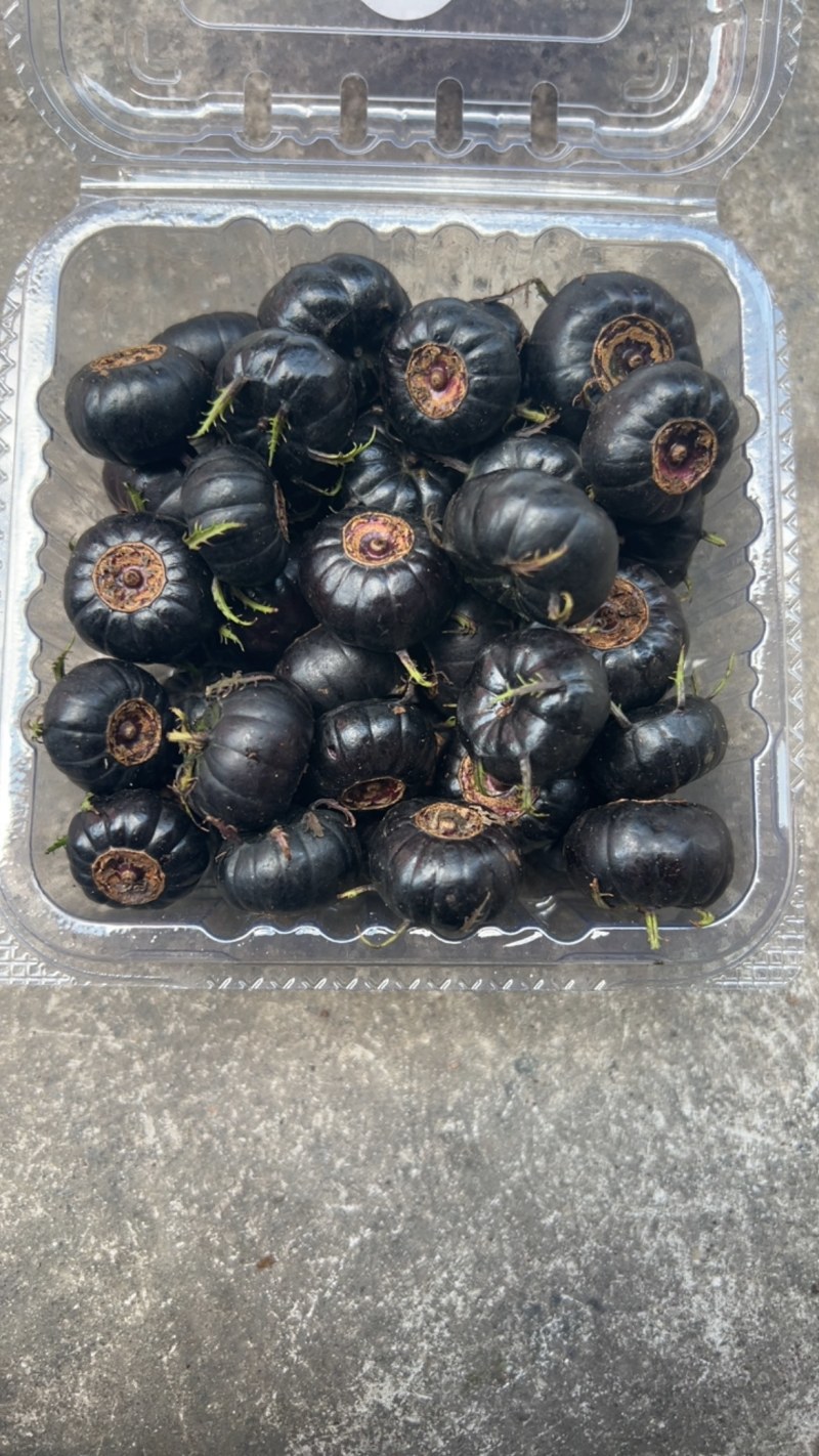 云南红果参现货批发市场货精品果非电商货现货批发