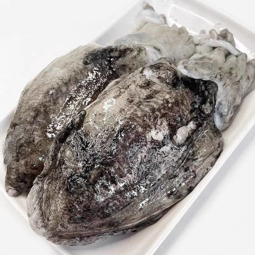 连云原汁墨鱼新鲜冷冻鲜活乌贼特大目鱼花枝东海墨斗鱼仔海鲜