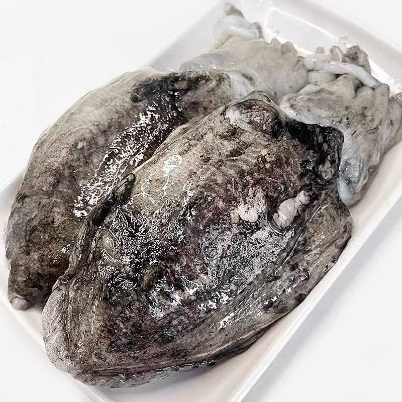 连云原汁墨鱼新鲜冷冻鲜活乌贼特大目鱼花枝东海墨斗鱼仔海鲜