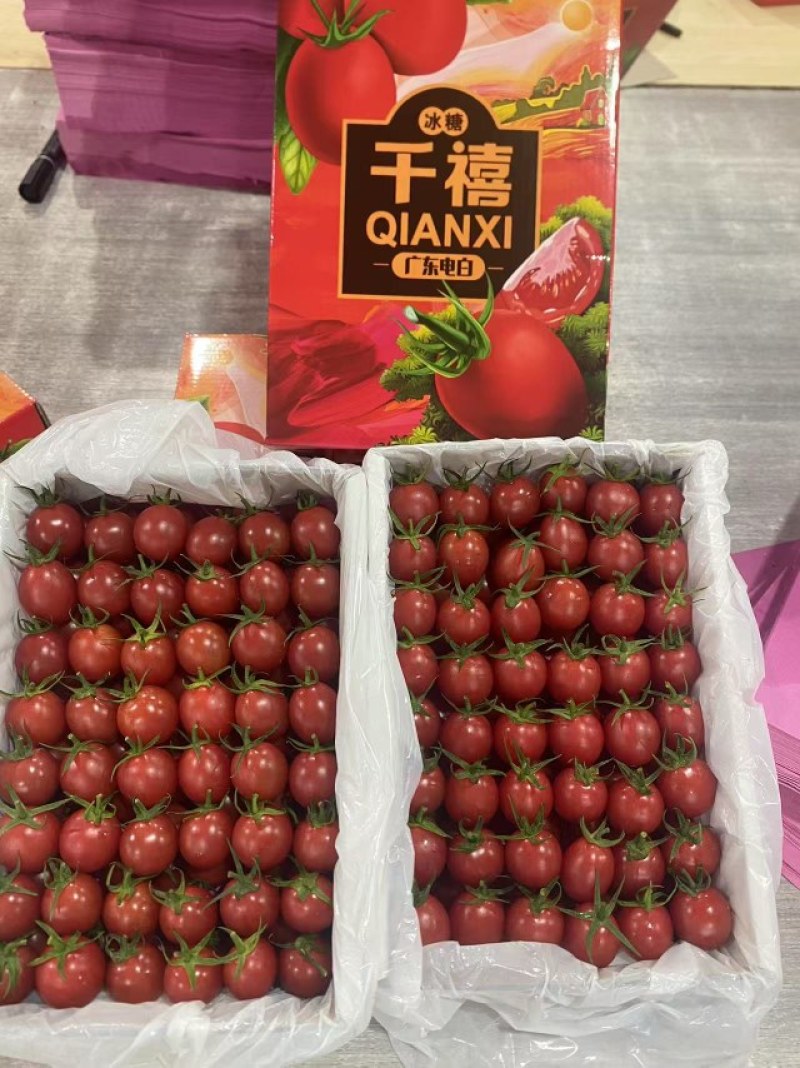 广东电白千禧圣女果，大量上市了，有需要的老板可以联系我