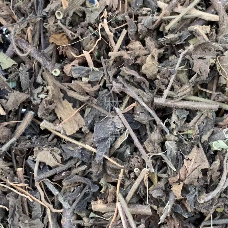 毛麝香草【包邮】三斤起发货可批量可零售量大从优