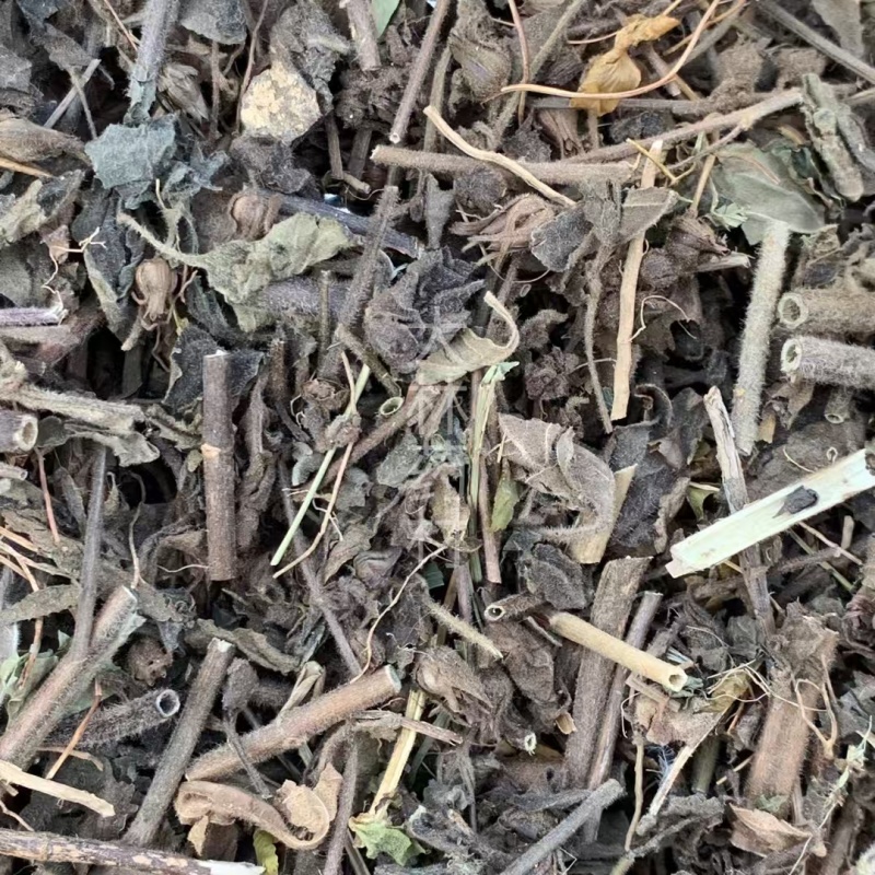 毛麝香草【包邮】三斤起发货可批量可零售量大从优