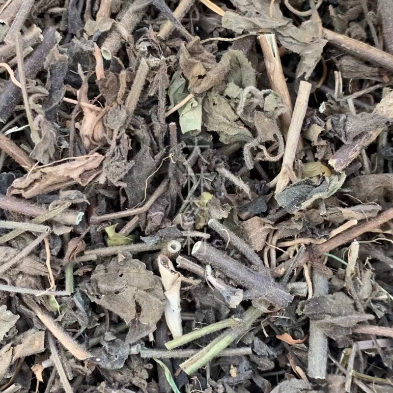 毛麝香草【包邮】三斤起发货可批量可零售量大从优