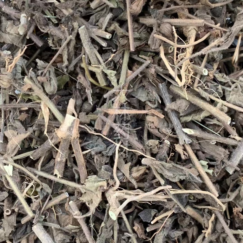 毛麝香草【包邮】三斤起发货可批量可零售量大从优