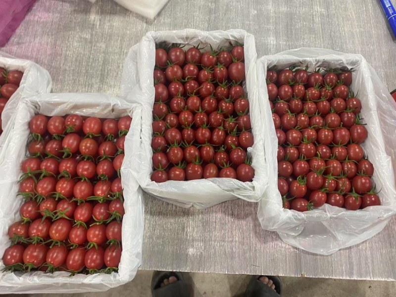 电白千禧，大量有货，对接市场，商超，有需要的老板可以联系