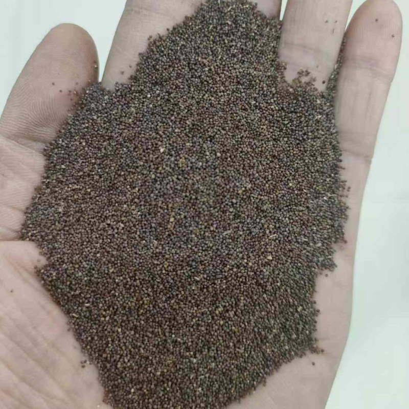 矮牵牛种子牵牛花种孑花种室内四季开花花草盆栽花卉植物花种