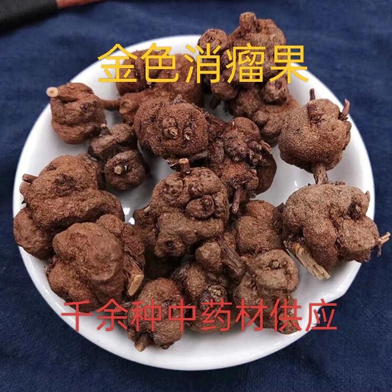 消瘤果金色消瘤果新货供应质量保证价格优惠（量大咨询客服）