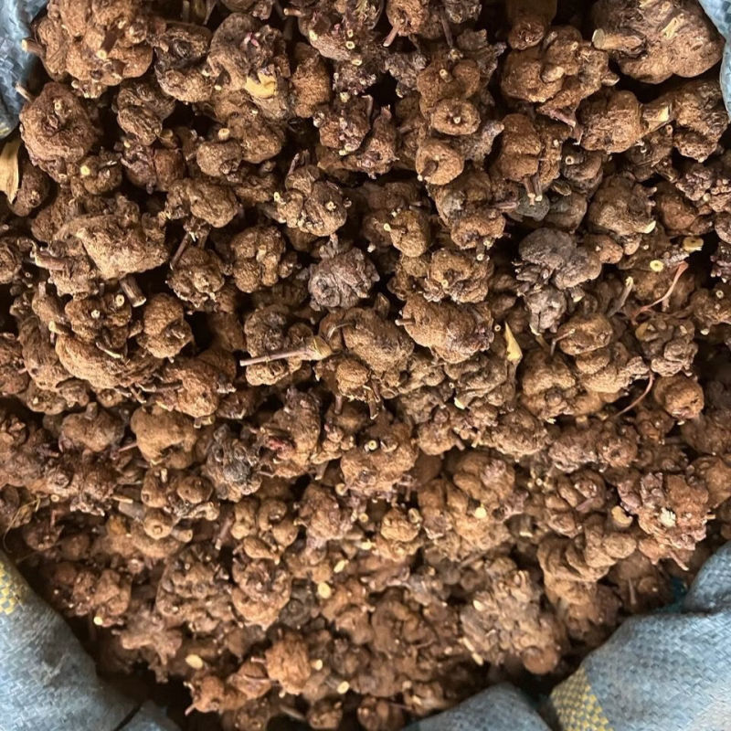 消瘤果金色消瘤果新货供应质量保证价格优惠（量大咨询客服）