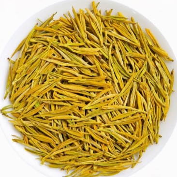 茶农自产自销鲜爽甘醇高山黄金芽茶叶