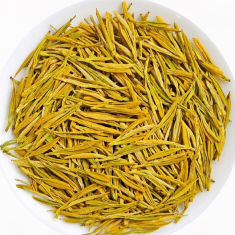 茶农自产自销鲜爽甘醇高山黄金芽茶叶