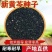 黄芪籽大量有货产地直供品质保证服务周到