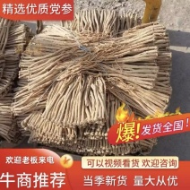 精品黄党参原产地直发价格合理，品质保证，可视频看货