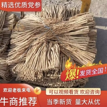 精品黄党参原产地直发价格合理，品质保证，可视频看货