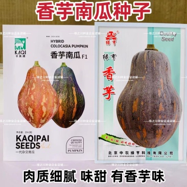 香芋南瓜种子粉面香芋味浓南瓜种籽榄核形基地专用坐果多