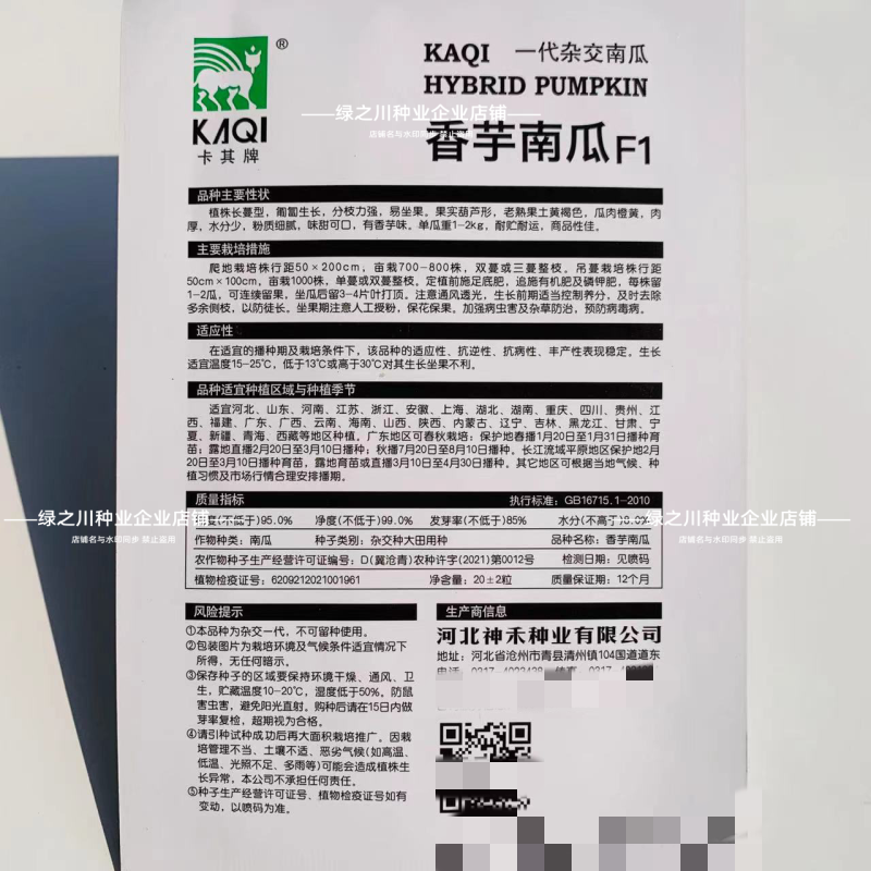 香芋南瓜种子粉面香芋味浓南瓜种籽榄核形基地专用坐果多
