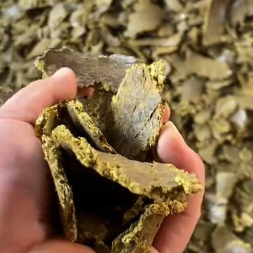 有机肥棉籽饼，菜籽饼上地专用改善土壤板结，不烧苗