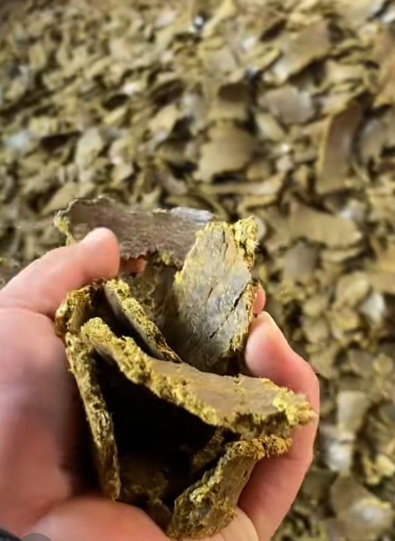 有机肥棉籽饼，菜籽饼上地专用改善土壤板结，不烧苗