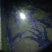 2-4斤鲟鱼