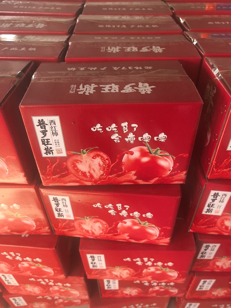 【推荐】普罗旺斯西红柿/产地直发/视频看货/欢迎咨询