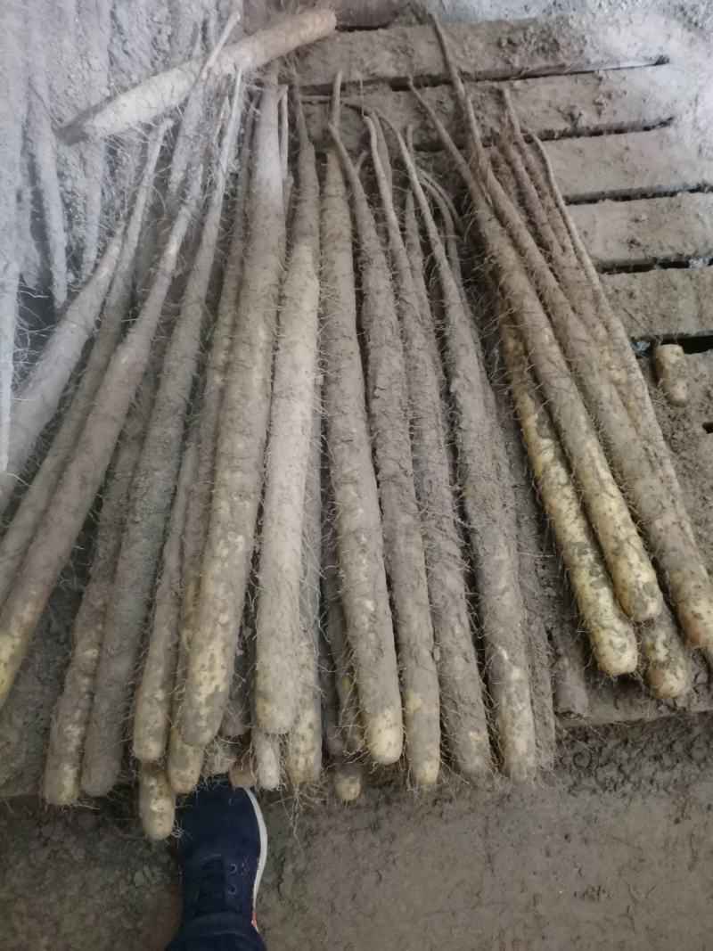 双棒大混货
