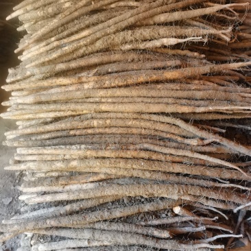 小白嘴