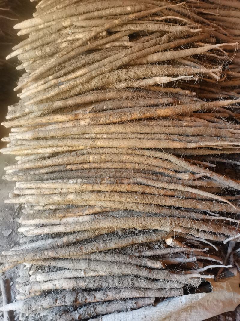 小白嘴