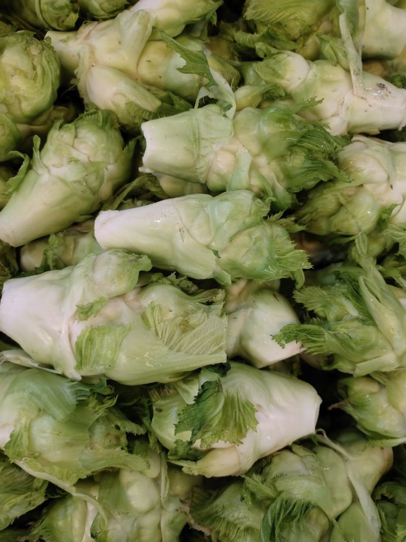 我想出售儿菜，走量1500起